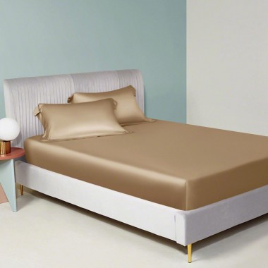 Best Cappuccino 22 Momme Mulberry Silk Fitted Sheet Canada