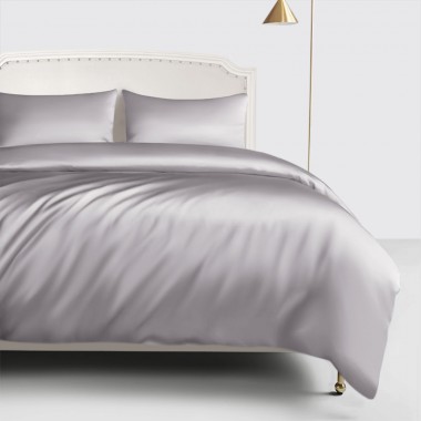 Best Silver 22 Momme Mulberry Silk Duvet Cover Canada